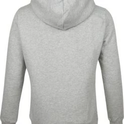Hoodies Bjorn Borg Hoodie Lichtgrijs -Truien & Vesten Verkoop winkel 66975 4