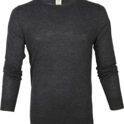 Truien Van Merino Wol Olymp Trui Lvl 5 Antraciet 9 Truien Van Merino Wol Olymp Trui Lvl 5 Antraciet -Truien & Vesten Verkoop winkel 67040 5 1