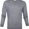 Truien Van Merino Wol Olymp Trui Lvl 5 Grijs