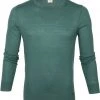 Truien Van Merino Wol Olymp Trui Lvl 5 Groen