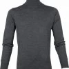 Truien Van Merino Wol Suitable Merino 12 Garen Coltrui Antraciet