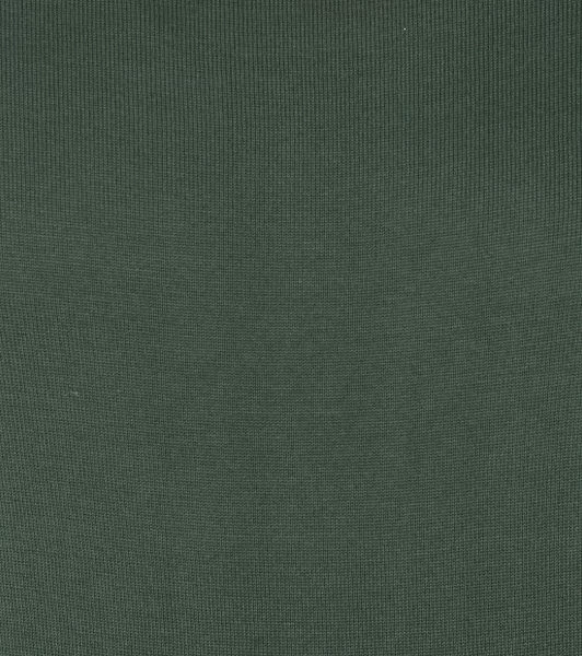 Suitable Scott Pullover Groen 5 Suitable Scott Pullover Groen - Afbeelding 5