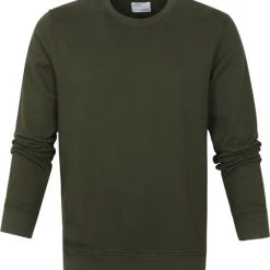 Sweaters Colorful Standard Sweater Zeewier Groen 10 Sweaters Colorful Standard Sweater Zeewier Groen -Truien & Vesten Verkoop winkel 69495 1 1
