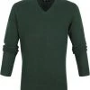 Lamswollen Truien Suitable Lamswol Trui V-Hals Donkergroen