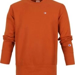 Sweaters Champion Sweater Reverse Weave Bruin -Truien & Vesten Verkoop winkel 71310 1 1