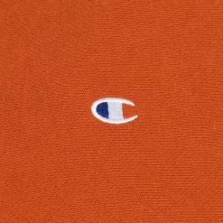 Sweaters Champion Sweater Reverse Weave Bruin -Truien & Vesten Verkoop winkel 71310 3