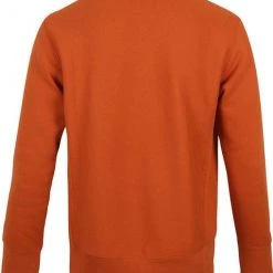 Sweaters Champion Sweater Reverse Weave Bruin -Truien & Vesten Verkoop winkel 71310 4