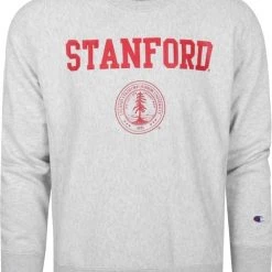 Sweaters Champion Sweater Logo Stanford Grijs -Truien & Vesten Verkoop winkel 73107 1 1