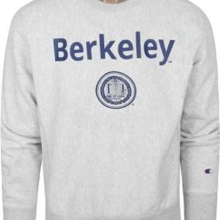 Sweaters Champion Sweater Logo Berkely Grijs