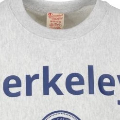 Sweaters Champion Sweater Logo Berkely Grijs -Truien & Vesten Verkoop winkel 73108 2 1