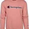 Sweaters Champion Sweater Script Logo Roze
