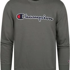 Sweaters Champion Sweater Script Logo Donkergroen