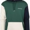 Hoodies Scotch And Soda Logo Hoodie Groen Multicolour