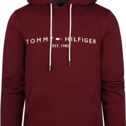 Hoodies Tommy Hilfiger Hoodie Bordeaux -Truien & Vesten Verkoop winkel 74402 1 1