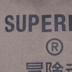 Hoodies Superdry Hoodie Logo Taupe -Truien & Vesten Verkoop winkel 74484 3