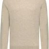 Wollen Truien Voor Heren State Of Art Trui Wol Beige