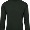 Truien Van Merino Wol Suitable Merino Coltrui Donkergroen
