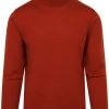Truien Van Merino Wol Suitable Merino Coltrui Oranje