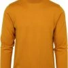 Truien Van Merino Wol Suitable Merino Coltrui Geel