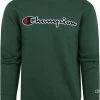 Sweaters Champion Sweater Script Logo Groen