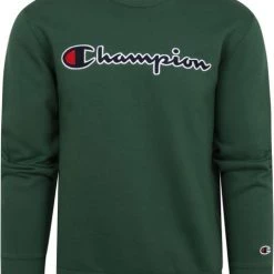 Sweaters Champion Sweater Script Logo Groen