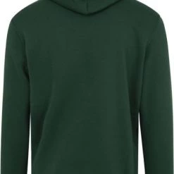 Hoodies Champion Hoodie Logo Donkergroen -Truien & Vesten Verkoop winkel 74877 3 1