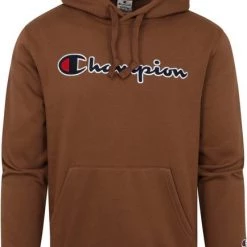 Hoodies Champion Hoodie Logo Bruin