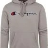 Hoodies Champion Hoodie Logo Grijs