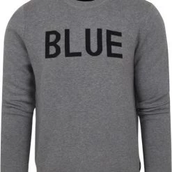 Sweaters Blue Industry Trui Grijs -Truien & Vesten Verkoop winkel 75137 1 1
