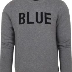 Sweaters Blue Industry Trui Grijs