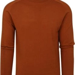 Coltruien Voor Heren Blue Industry Coltrui Bruin -Truien & Vesten Verkoop winkel 75170 1 1