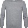 Truien Van Merino Wol Profuomo Pullover Merinowol Grijs