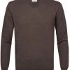 Truien Van Merino Wol Profuomo Pullover V-Hals Merinowol Taupe