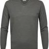 Truien Van Merino Wol Profuomo Pullover V-Hals Merinowol Donkergroen