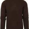 Wollen Truien Voor Heren Suitable Pullover Wol O-Hals Bruin