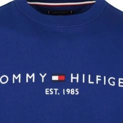 Sweaters Tommy Hilfiger Sweater Logo Royal Blauw -Truien & Vesten Verkoop winkel 75396 2 1