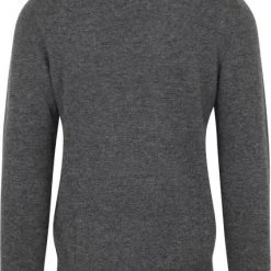 Lamswollen Truien Gant Trui Lamswol Antraciet -Truien & Vesten Verkoop winkel 75441 4